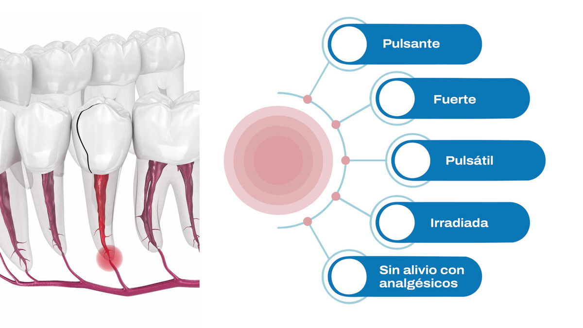 Material didático ilustrativo com mapa visual de sintomas